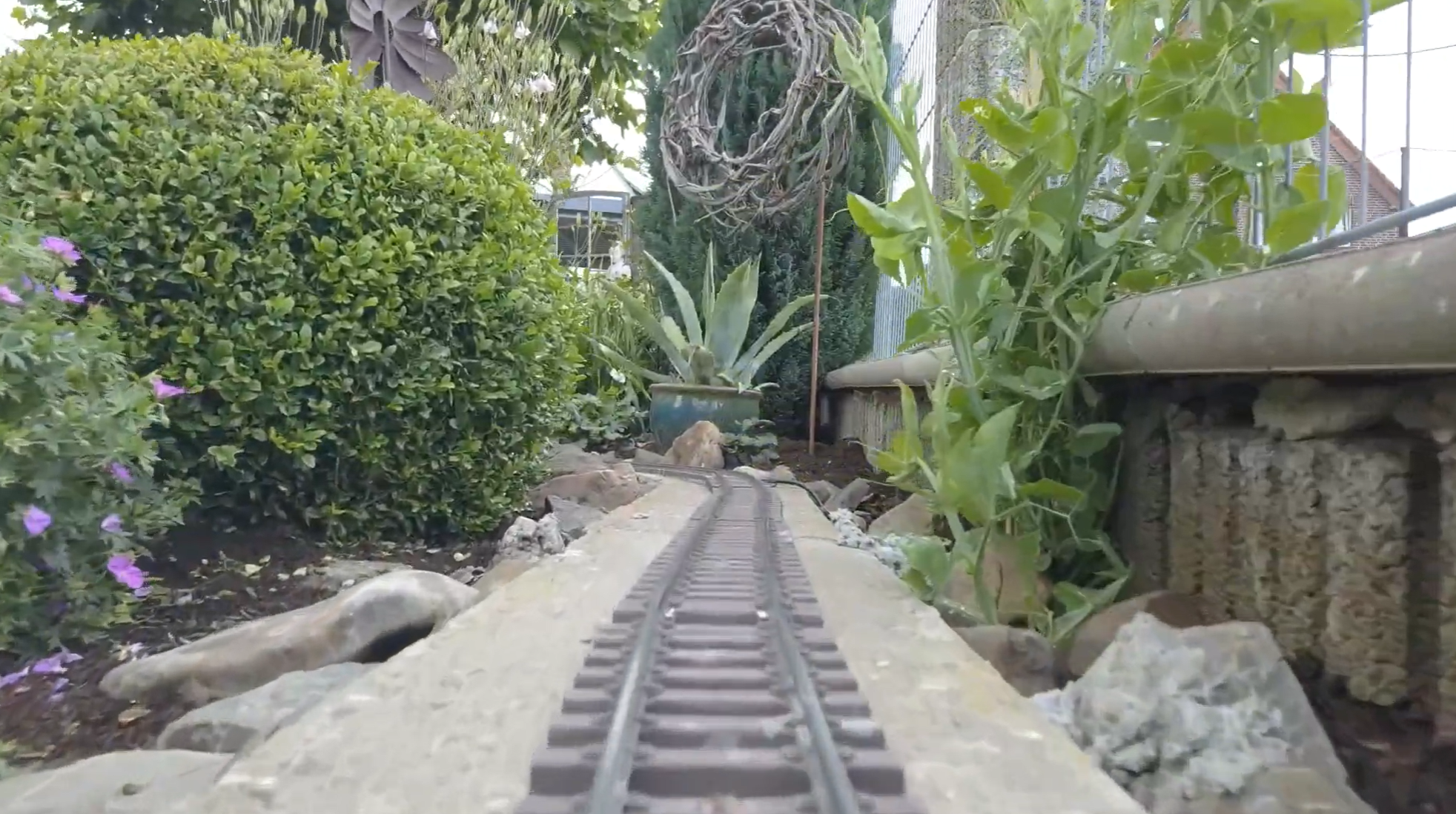 video1