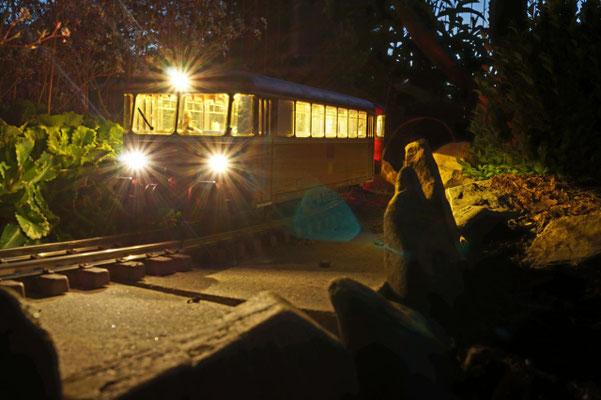 Gartenbahn image (14)
