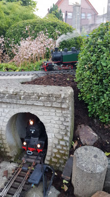 Gartenbahn image (2)
