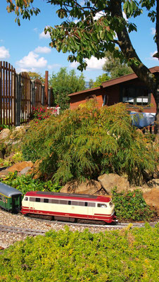 Gartenbahn image (21)